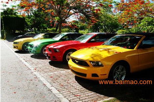 東營(yíng)租車 東營(yíng)汽車租賃 東營(yíng)租車服務(wù) 東營(yíng)租車公司,東營(yíng)租車 東營(yíng)汽車租賃 東營(yíng)租車服務(wù) 東營(yíng)租車公司生產(chǎn)廠家,東營(yíng)租車 東營(yíng)汽車租賃 東營(yíng)租車服務(wù) 東營(yíng)租車公司價(jià)格